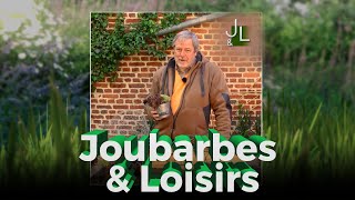 Joubarbe amp Loisirs la parodie de Jardins amp Loisirs  Martin Charlier  Le Grand Cactus 145 [upl. by Oivatco]