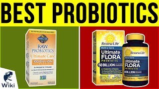 10 Best Probiotics 2019 [upl. by Anilorac146]