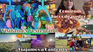 Hoy visitamos la granja de Calabaza 🎃 YESTERLAND FARM 🎃🎃Los Mejores tacos 🌮 de Pastor de Dallas tx [upl. by Digirb]