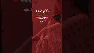 Meda Chan Masa Ta Slowed and Reverb  Shafaullah Khan Rokhri New Song [upl. by Pinzler]