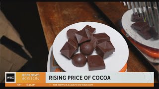 Cocoa prices are soaring [upl. by Pyle541]