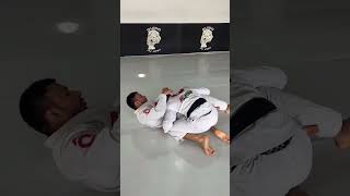 Raspagens para baixinhos jiujitsu bjj [upl. by Htinek]