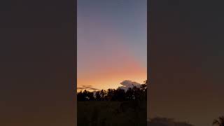 Incredible view maldives thoddoo nature sunset shorts [upl. by Ellerrad956]