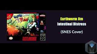 Earthworm Jim Intestinal Distress OST SNES Cover [upl. by Blanch]