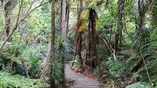 Karamatura Walking Track Walking Tour In Auckland New Zealand [upl. by Oliy55]