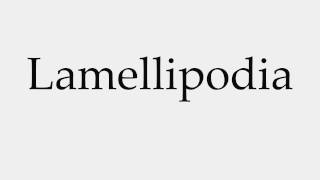 How to Pronounce Lamellipodia [upl. by Kaylee83]