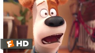 The Secret Life of Pets  Maxs New Brother Scene  Fandango Family [upl. by Leno]