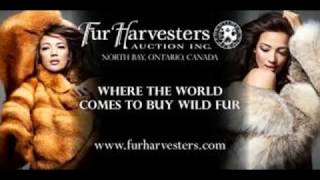 Fur Harvesters LIVE Auction [upl. by Buzzell]