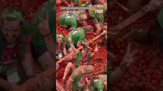 Tomato fight La Tomatina festival turns streets of Spain red [upl. by Dj]