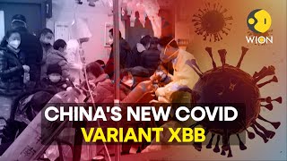 China prepares for new Covid variant with up to 65 million weekly cases [upl. by Ern829]