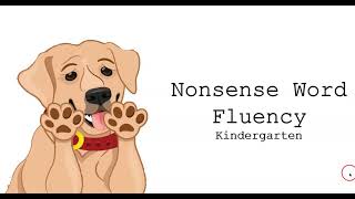 nonsense word fluency [upl. by Syverson]