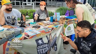 Mushroom Blocks Forays Healthy Soil Central Texas Mycological Society [upl. by Haleelahk]