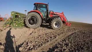 Siew amp Walcowanie 2018  Case 95 Farmall U Amazone AD303  Ursus C330 [upl. by Amaryllis]