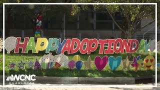 National Adoption Day 2024  Families celebrated in Mecklenburg County [upl. by Lotson266]