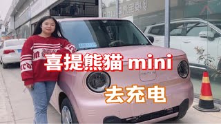 媳妇喜提吉利熊猫 mini，车还没到，汽车用品已经准备好 [upl. by Dey797]