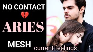 ARIES ♈Mesh😔💔No contact situation🥺 current feelings of your person 💯 Tarot Hindi Urdu [upl. by Aenneea]