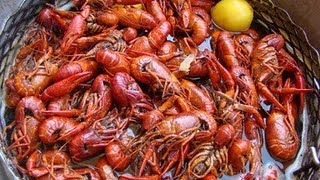 How to Eat Crawdads [upl. by Ccasi]