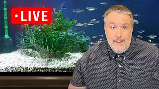 Make Fish and Plants to afford your hobby Live Stream [upl. by Maloy]