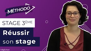 Que faire pendant le stage de 3e [upl. by Ebbie576]