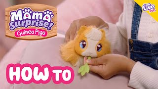 Little Live Pets  Mama Surprise  How To Care amp Play [upl. by Alvar]