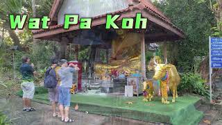 Wat Pa kho Songkhla [upl. by Anamuj823]