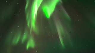 Yellowknife Northern Lights  Dancing Aurora  Moving lights  Northwest Territories  Canada [upl. by Avie]