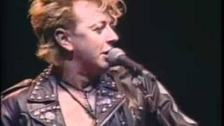 Stray Cats  BeBopALula  Live [upl. by Hollister115]