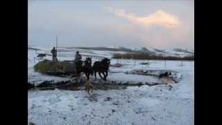 246Spotted Draft Horse Ranch Daryl Woolstenhulme ID [upl. by Oijres]