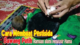 CARA SIMPLE MEMBUAT PESTISIDA DARI BAWANG PUTIH [upl. by Ahseral]