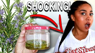 ONLY 1 INGREDIENT FOR CRAZY HAIR GROWTH 4 WAYS TO USE ROSEMARY LEAVES FOR EXTREME HAIR GROWTH [upl. by Kimberley]