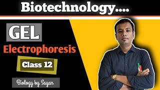 Gel Electrophoresis Biotechnology Class 12 NEET [upl. by Dammahom]