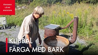 Klibbal – färga med bark [upl. by Gervais]