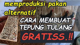 PAKAN ALTERNATIF quotcara membuat pakan GRATIS dari TULANG AYAMquot🐓 [upl. by Parker71]