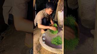 Make hair growth lotion shorts shortvideo rurallife [upl. by Ylatan398]