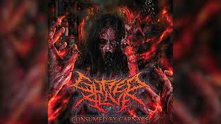 Gutted Alive  Consumed by Carnage Death Metal 2015 [upl. by Drofnelg]