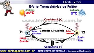 Termopares Termometria Efeito Termoelétrico Peltier Placa Peltier Pastilha Peltier Placa de Peltier [upl. by Rothschild]