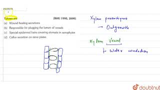 Tyloses are  11  ANATOMY OF FLOWERING PLANTS  BIOLOGY  ERRORLESS  Doubtnut [upl. by Fenella489]