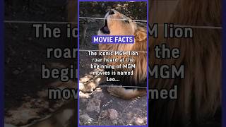 The iconic MGM roar heard at the beginning of MGM movies is named Leo The original lion… movie [upl. by Alston891]