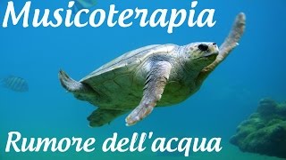 Musicoterapia  Rumore Dellacqua  Natura  Uccelli  Da Massaggio  Per Yoga [upl. by Yruy637]