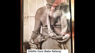 Siddha Guru Baba Nataraj Wisdom Beyond Enlightenment [upl. by Ubana276]