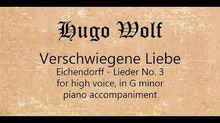 Verschwiegene Liebe for high voice piano accompaniment [upl. by Wynny]