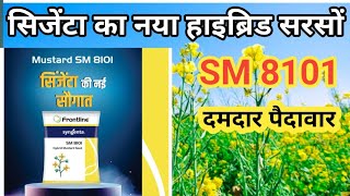 syngenta ka नया हाईब्रिड सरसोंsyngenta new hybrid mustardsyngenta new hybrid sarso pricesyngenta [upl. by Rigby549]