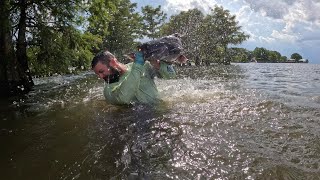 Noodling Catfish on Lake Marion [upl. by Renferd]