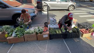 China Town Manhattan New York City [upl. by Aicilehp]