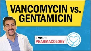 Pharmacology  Vancomycin vs Gentamicin Antibiotics nursing RN PN NCLEX [upl. by Aicinad193]