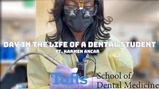 Day In The Life Of A Dental Student at Tufts University School Of Dental Medicine [upl. by Cohen]