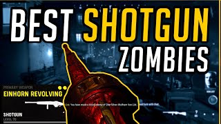 Best Einhorn Revolving Setup for Zombies  Call of Duty Vanguard  Weapon Guide [upl. by Aihsinyt690]