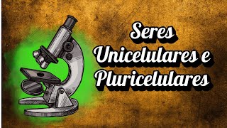 Seres Unicelulares e Pluricelulares [upl. by Ayaladnot823]