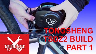 Unveiling The Ultimate Tongsheng Tsdz2 Mid Drive Ebike Motor Bike Build [upl. by Yvad]