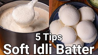 How to Make Soft Idli with 5 Basic Tips  Spongy Idli Batter with Wet Grinder  No Soda No Yeast [upl. by Lyndy]